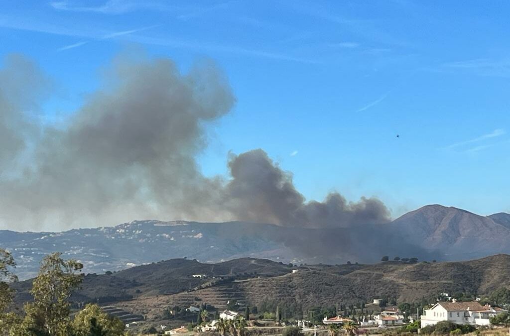 Waldbrand in Mijas